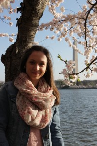 Kirschblüten in DC