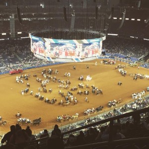 Rodeo Arena